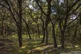 10406 Park Road 37 - Photo 39