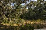 10406 Park Road 37 - Photo 40