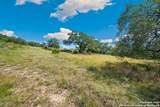 428 Cavy - Photo 11