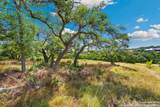 428 Cavy - Photo 15