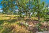 428 Cavy - Photo 16