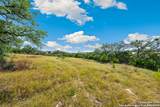 428 Cavy - Photo 6