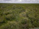 558 Ramos Ln - Photo 20