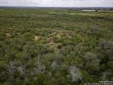 558 Ramos Ln - Photo 22