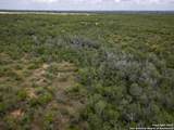 558 Ramos Ln - Photo 28
