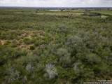 558 Ramos Ln - Photo 30