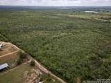 558 Ramos Ln - Photo 31