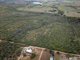 558 Ramos Ln - Photo 35