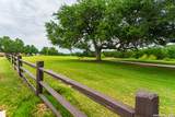 102 William Tobin - Photo 12
