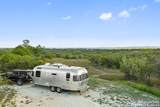 370 Gray Wolf - Photo 22