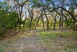 370 Gray Wolf - Photo 24