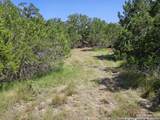 LOT 155 La Luna Dr - Photo 23
