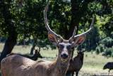 LOT 43 Blackbuck Trail - Photo 18