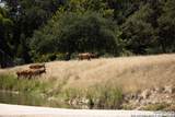 LOT 43 Blackbuck Trail - Photo 35