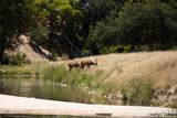 LOT 43 Blackbuck Trail - Photo 37