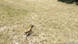 LOT 43 Blackbuck Trail - Photo 40
