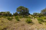 LOT 43 Blackbuck Trail - Photo 42
