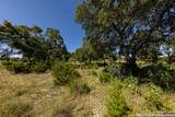 LOT 43 Blackbuck Trail - Photo 45