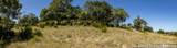 LOT 43 Blackbuck Trail - Photo 46