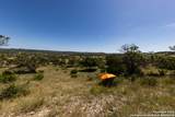 LOT 43 Blackbuck Trail - Photo 48