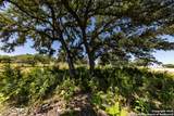 LOT 43 Blackbuck Trail - Photo 58