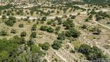 LOT 43 Blackbuck Trail - Photo 63