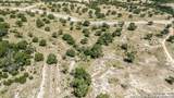 LOT 43 Blackbuck Trail - Photo 65