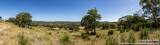 LOT 43 Blackbuck Trail - Photo 7