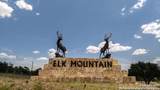 LOT 43 Blackbuck Trail - Photo 88