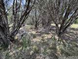 0 Nacona Dr - Photo 4