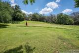 5351 Fredericksburg - Photo 44