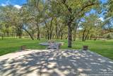 221 Cibolo Ridge Dr - Photo 37