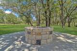 221 Cibolo Ridge Dr - Photo 38