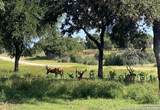 LOT 56 Red Stag Lane - Photo 19