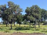 LOT 56 Red Stag Lane - Photo 8