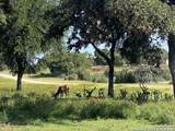 LOT 56 Red Stag Lane - Photo 9