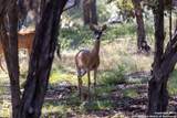 27919 Bogen - Photo 12