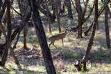 27919 Bogen - Photo 13