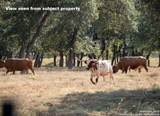 27919 Bogen - Photo 14