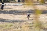 27919 Bogen - Photo 15