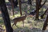 27919 Bogen - Photo 23