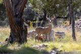 27919 Bogen - Photo 7