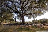 27919 Bogen - Photo 8