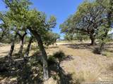 930 Maximino Ridge Rd - Photo 8