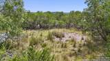 556 Hedgestone - Photo 16