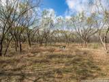 13993 Jarratt Rd - Photo 1