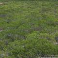 0 Fm 2049 - Photo 2
