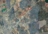 32.89 Acres Us Hwy 90 - Photo 15
