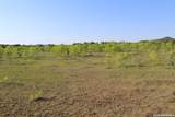 245 County Road 356 - Photo 24