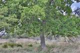 25 Dallas Josie Rd - Photo 12
